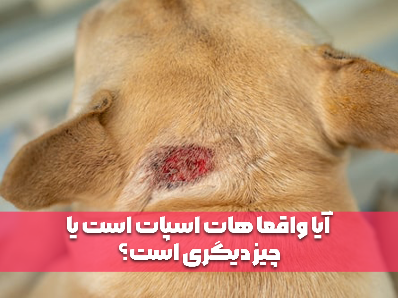 آیا واقعا هات اسپات است  یا چیز دیگری است؟